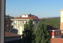 IMG_3649